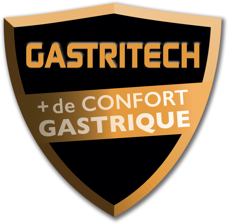 Logo gastritech